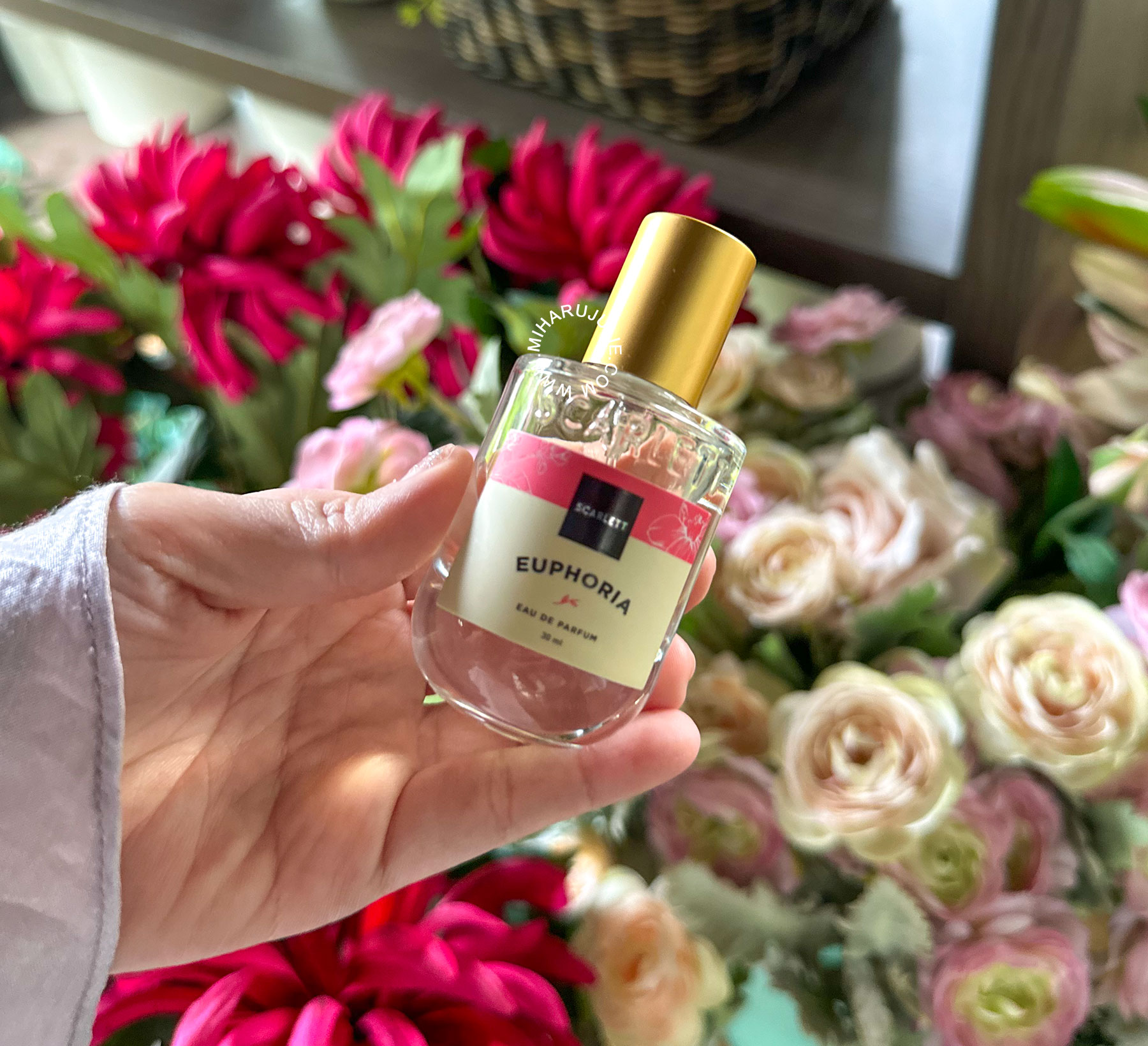 Harga Scarlett Euphoria Eau De Parfum Harga Scarlett Euphoria Eau De Parfum